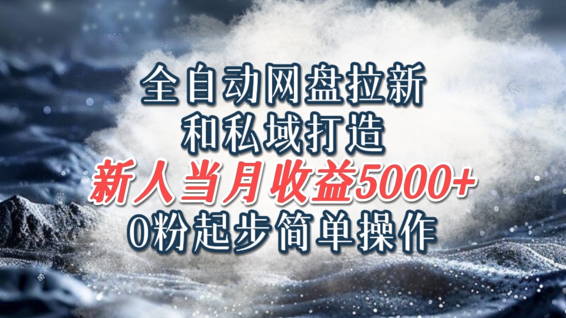 全自动网盘拉新和私域打造，0粉起步简单操作，新人入门当月收益5000以上|HOOK协议网