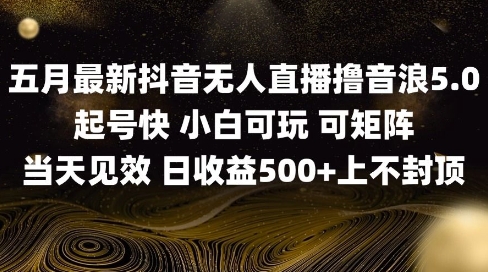 2025五月最新无人直播撸音浪单日产出5张+实操教程【揭秘】|HOOK协议网