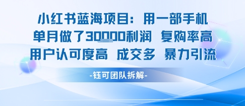 小红书蓝海项目，一部手机单月做了3W利润，小白也能月入过1W用户认可度高成交多|HOOK协议网