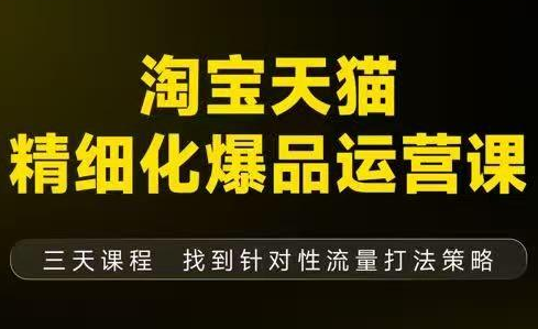 猫课子幽·淘宝天猫精细化爆品运营【音频+字幕+文档】(9月12-14杭州线下课)|HOOK协议网