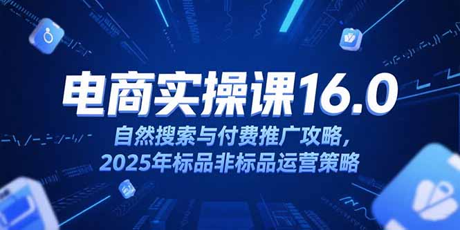 淘宝电商运营课16.0，自然搜索与付费推广攻略，2025年标品非标品运营策略|HOOK协议网