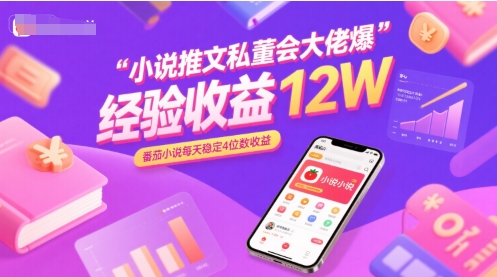 小说推文私董会大佬爆单经验分享收益12W，番茄小说每天稳定4位数收益|HOOK协议网