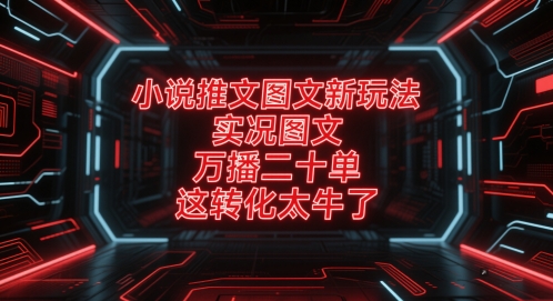 小说推文图文新玩法，实况图文，万播二十单，这转化太牛了！|HOOK协议网