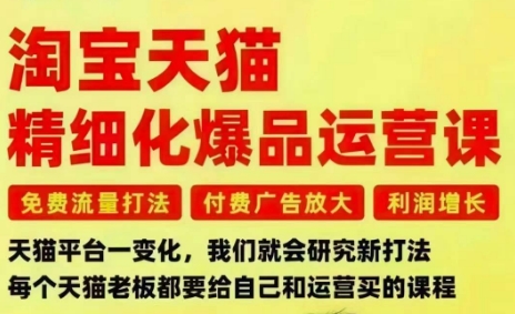 淘宝天猫精细化爆品运营课，免费流量打法-付费广告放大-利润增长-三大核心痛点，一次全部解决|HOOK协议网