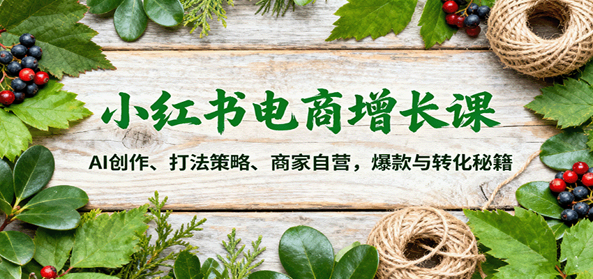 小红书电商增长课：AI创作、打法策略、商家自营，爆款与转化秘籍|HOOK协议网