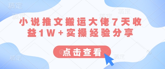 小说推文搬运大佬7天收益1W+实操经验分享|HOOK协议网