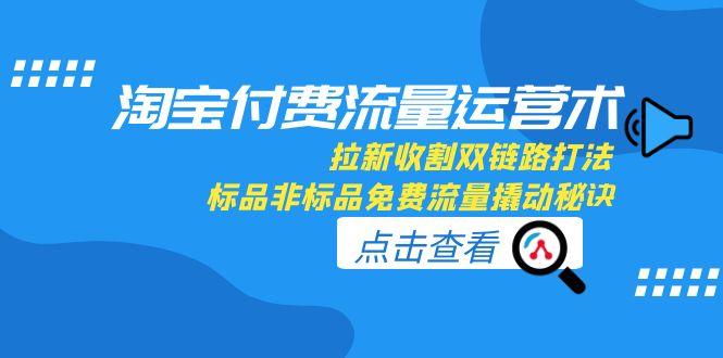淘宝付费流量运营术，拉新收割双链路打法，标品非标品免费流量撬动秘诀|HOOK协议网