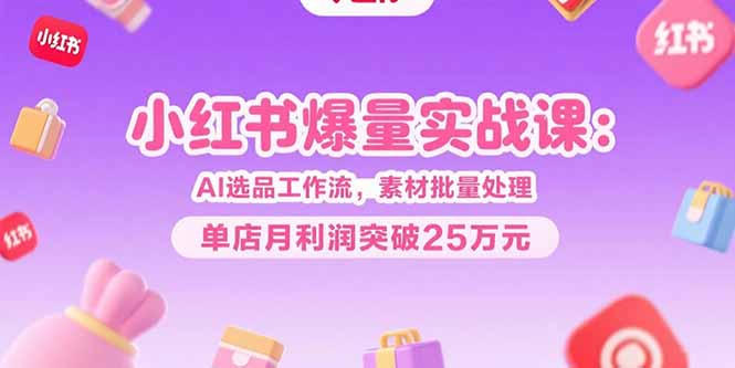 小红书爆量实战课：AI选品工作流，素材批量处理，单店月利润突破25万元|HOOK协议网