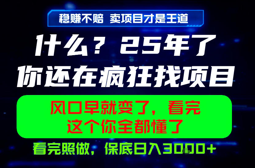 26年，请不要疯狂的找项目做了！卖项目才是真的稳賺不赔，看完照做，保底日入1k+【揭秘】|一人科技公司导航