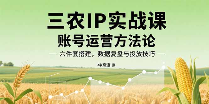 三农IP实战课：账号运营方法论，六件套搭建，数据复盘与投放技巧|HOOK协议网