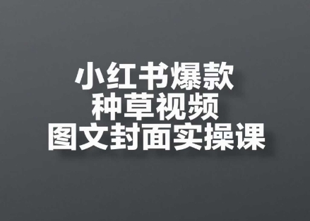 小红书爆款种草视频图文封面实操课，​开店、选品、引流、变现全流程|HOOK协议网