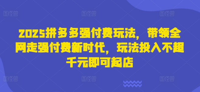 2025拼多多强付费玩法，带领全网走强付费新时代，玩法投入不超千元即可起店|HOOK协议网