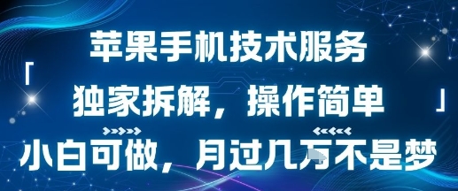 苹果手机技术服务，独家拆解，操作简单，小白可做，月过1W不是梦|HOOK协议网