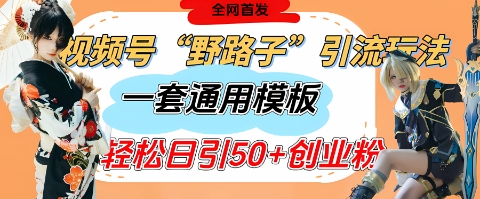 视频号“野路子”玩法，评论区疯狂截流，一套模板单日单号引流50+创业粉|HOOK协议网