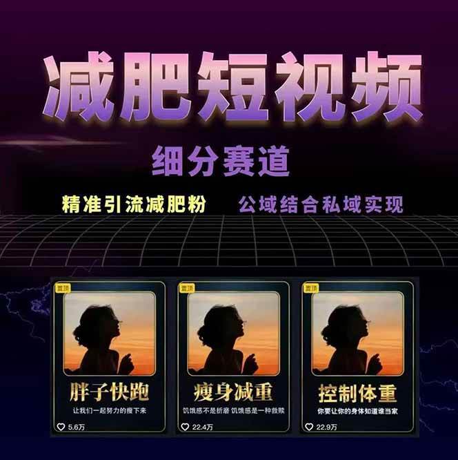 图片[2]|减肥短视频运营实战课：含素材制作、剪映教学，讲精准引流、变现设计与内容模板技巧|HOOK协议网