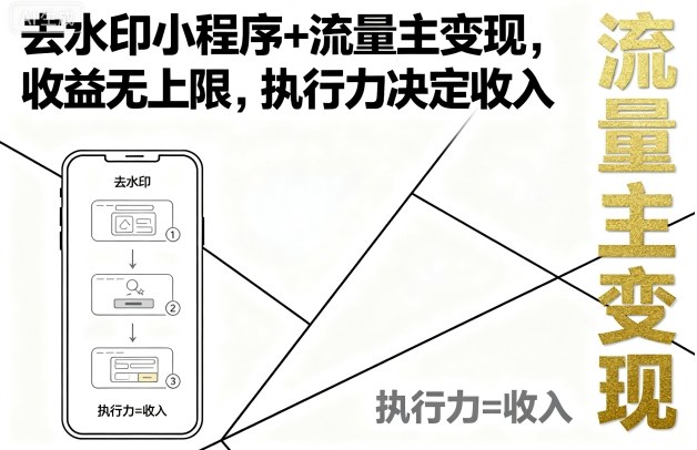 去水印小程序+流量主变现，收益无上限，执行力决定收入|HOOK协议网