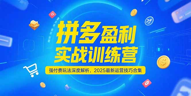拼多多盈利实战训练营，强付费玩法深度解析，2025运营技巧合集-更新6月|HOOK协议网