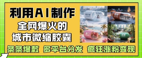 利用AI制作全网爆火的城市微缩胶囊，条条爆款， 多平台分发，疯狂涨粉变现|HOOK协议网
