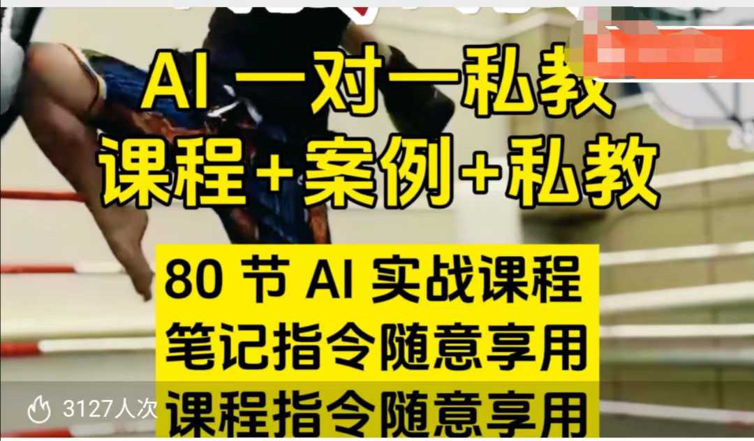 AI指令实战课，课程+案例，80节AI实战课程，笔记指令随意享用，课程指令随意享用(更新26年3月)|协议软件打粉软件