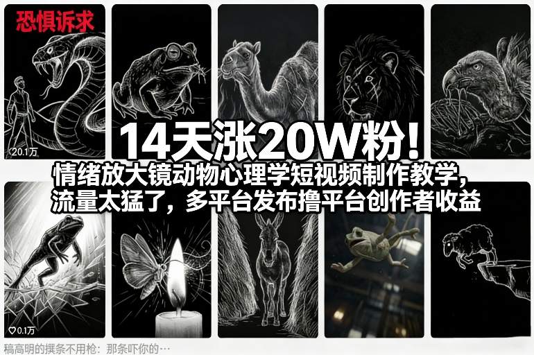 14天涨20W粉！情绪放大镜动物心理学短视频制作教学，流量太猛了，多平台发布撸平台创作者收益|HOOK协议网