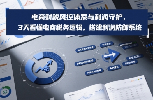 电商财税风控体系与利润守护，3天看懂电商税务逻辑，搭建利润防御系统|HOOK协议网