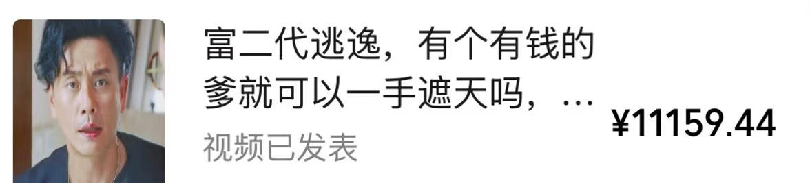 视频号某大佬的影视搬运教学，纯手法操作，可以多个平台可以发布，撸分成计划+伙伴计划+光合计划收益等|一人科技OPC聚合软件