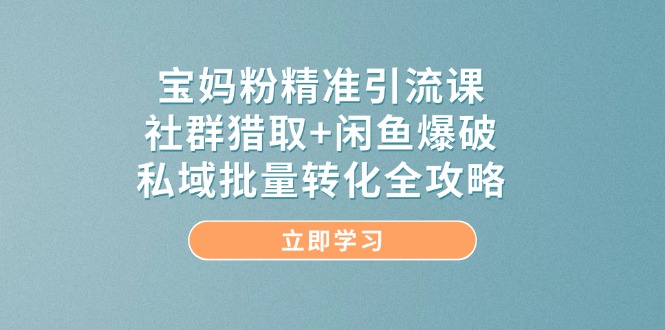 宝妈粉精准引流课，社群猎取+闲鱼爆破，私域批量转化全攻略|HOOK协议网