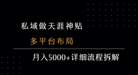 私域做天涯神贴 多平台布局 月入5k+详细流程拆解|HOOK协议网