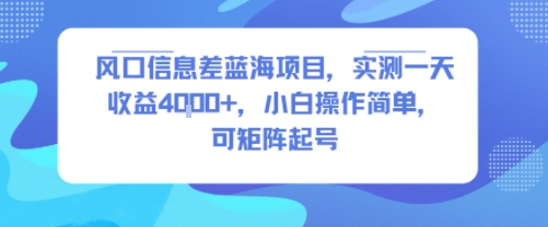 风口信息差蓝海项目，实测一天收益4k+，小白操作简单，可矩阵起号|HOOK协议网