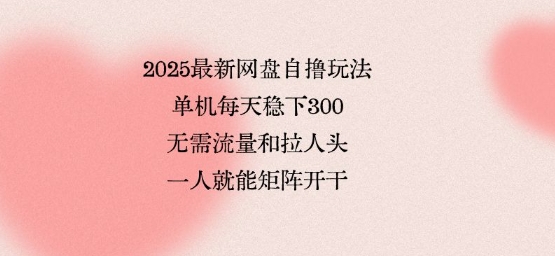 2025最新网盘自撸玩法，单机每天稳下3张，无需流量和拉人头，一个人就可轻松矩阵，全网独一份【揭秘】|HOOK协议网