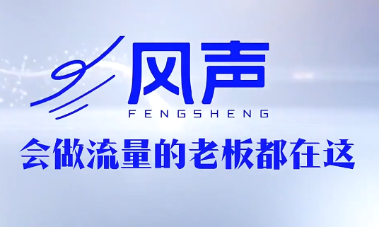 董十一·风声短视频AI获客年度会员|一人科技公司导航