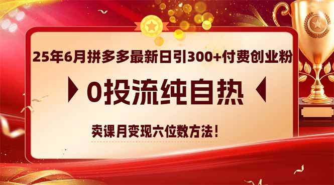 25年6月拼多多最新日引300+付费创业粉，0投流纯自热 卖课月变现六位数方法|HOOK协议网