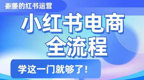 小红书电商全流程，精简易懂，从入门到精通，学这一门就够了|HOOK协议网