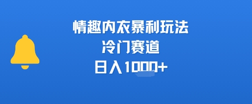 情趣内衣暴利玩法，冷门赛道，日入1k+|HOOK协议网