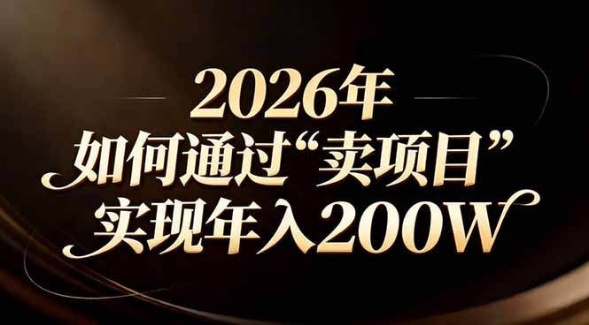 站在2026年的十字路口：一个普通人如何通过卖项目实现年入200万|协议软件打粉软件