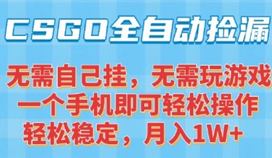 CSGO自动捡漏项目，最新独家玩法，一个手机可操作，新手小白轻松月入1W+，操作简单易上手【揭秘】|HOOK协议网