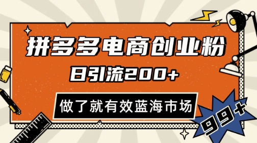 拼多多引流电商创业粉，日引200+，可矩阵放大，做了就有效【揭秘】|HOOK协议网