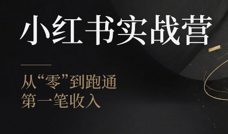 金金老师·小红书实战营|一人科技OPC聚合软件