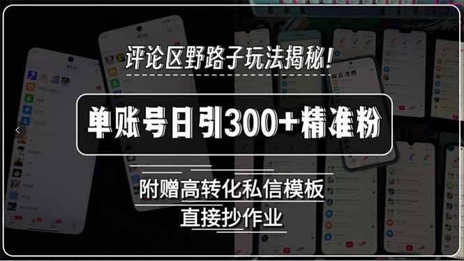 评论区野路子玩法揭秘！单账号日引300+精准粉，附赠高转化私信模板，直…|HOOK协议网