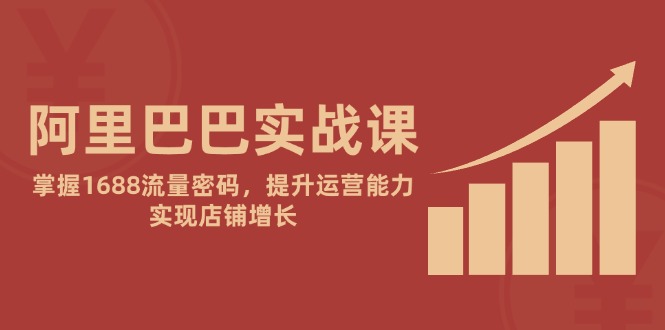 阿里巴巴实战课：掌握1688流量密码，提升运营能力，实现店铺增长|HOOK协议网