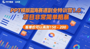PPT模版蓝海赛道副业特训营1.0，项目非常简单粗暴，客单价可以高到150-200|HOOK协议网