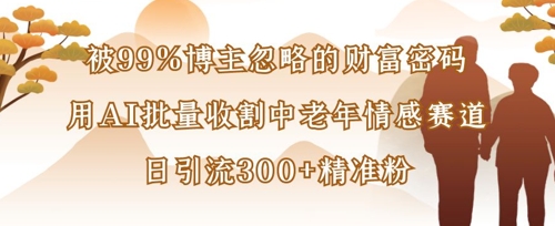 被99%博主忽略的财富密码：用AI批量收割中老年情感赛道，日引流300+精准粉|HOOK协议网