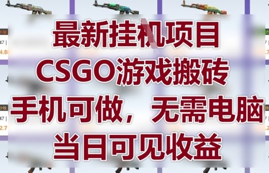 最新挂G项目，CSGO游戏搬砖，手机可做，无需电脑，当日见收益【揭秘】|HOOK协议网