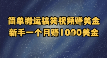 简单搬运搞笑视频挣美金，新手一个月入1k美金|HOOK协议网