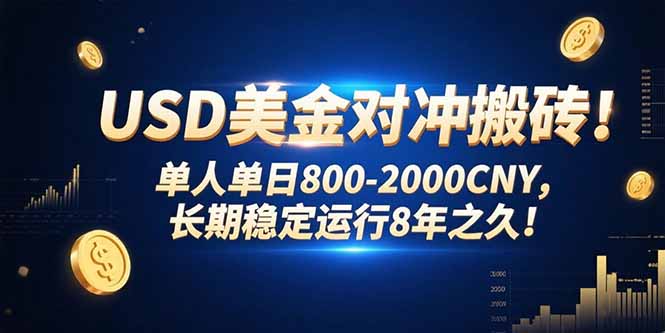 USD美金对冲搬砖!单人单日800-2000CNY，长期稳定运行8年之久!|HOOK协议网